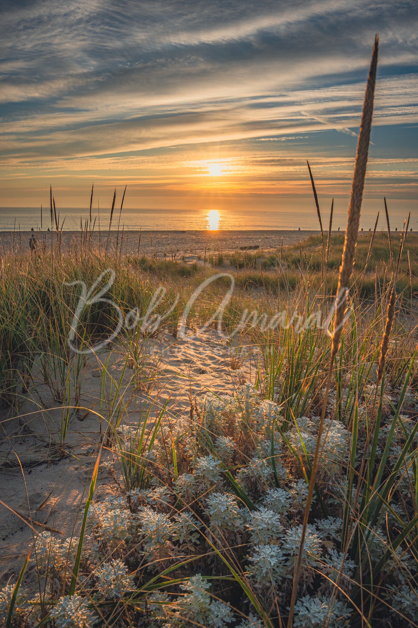 Nauset Beach - Orleans, Cape Cod