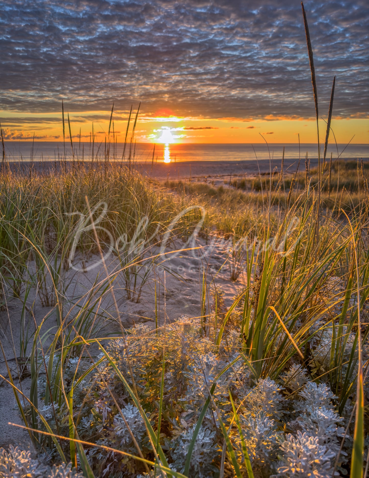 Nauset Beach - Orleans, Cape Cod