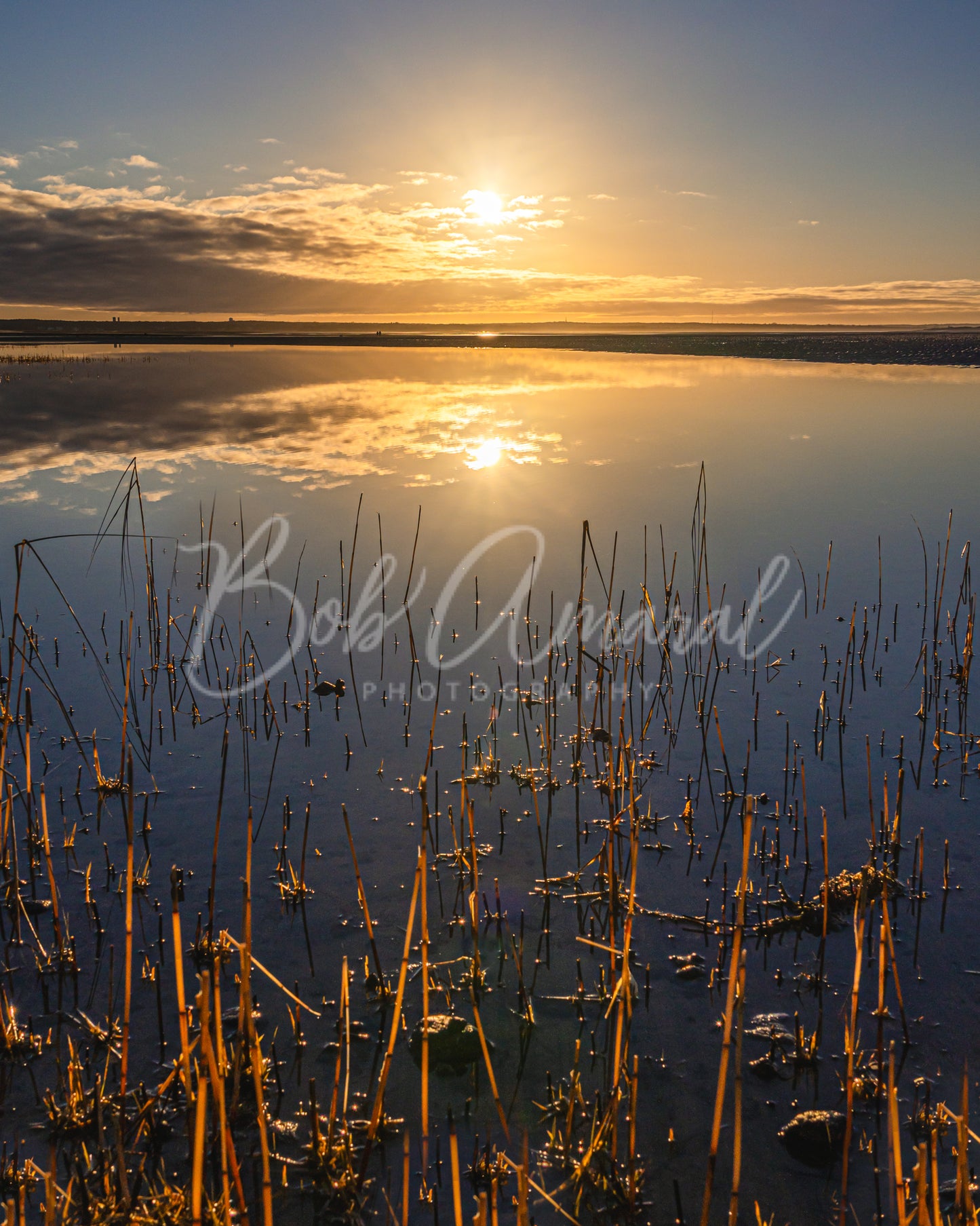 Chapin Beach - Dennis, Cape Cod