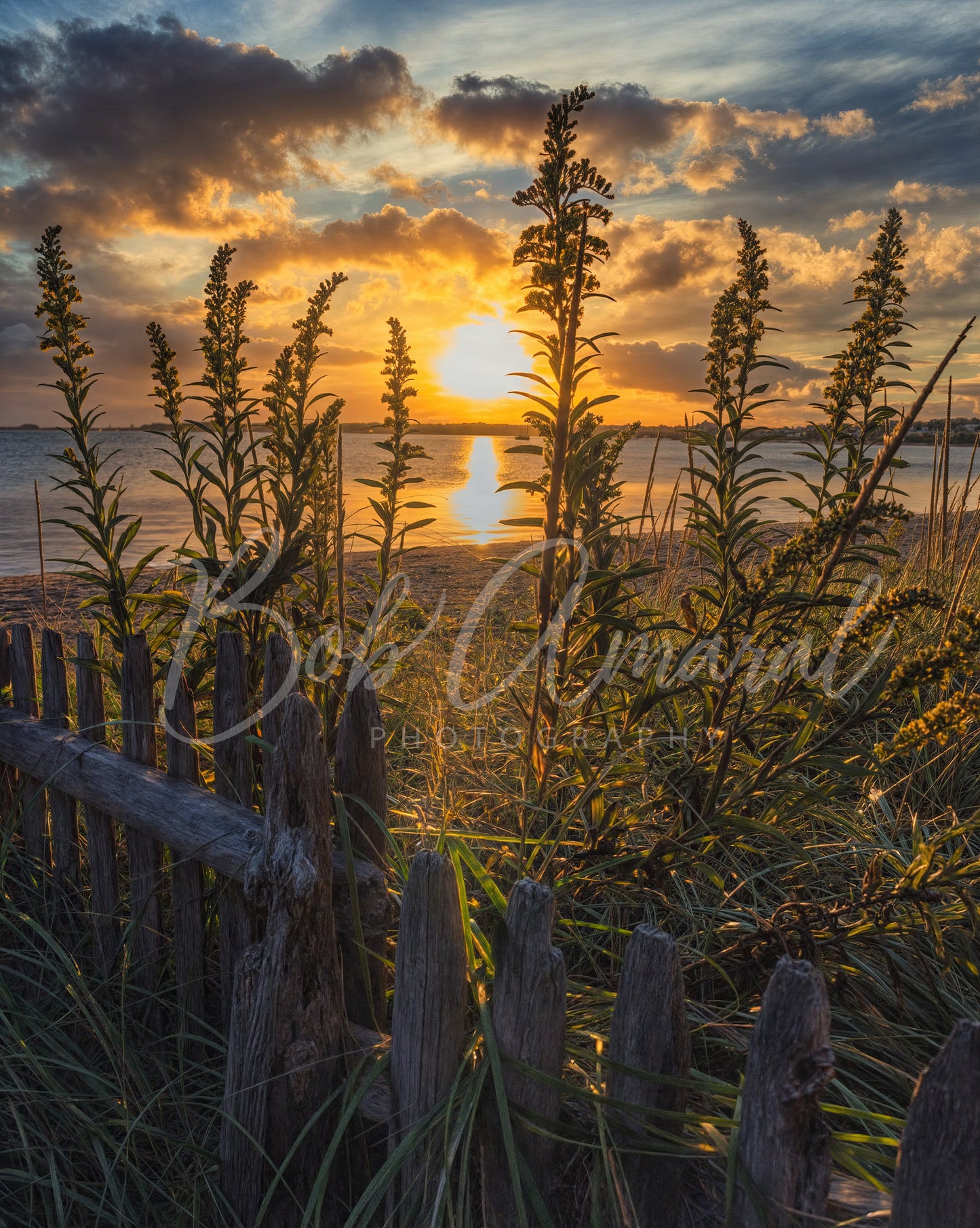 Colonial Acres Beach- Yarmouth, Cape Cod