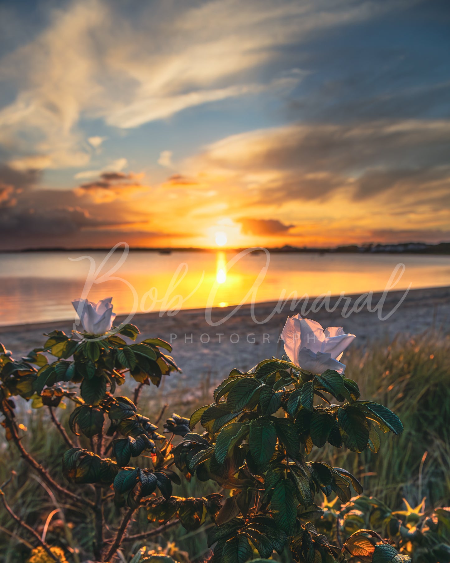 Colonial Acres Beach- Yarmouth, Cape Cod