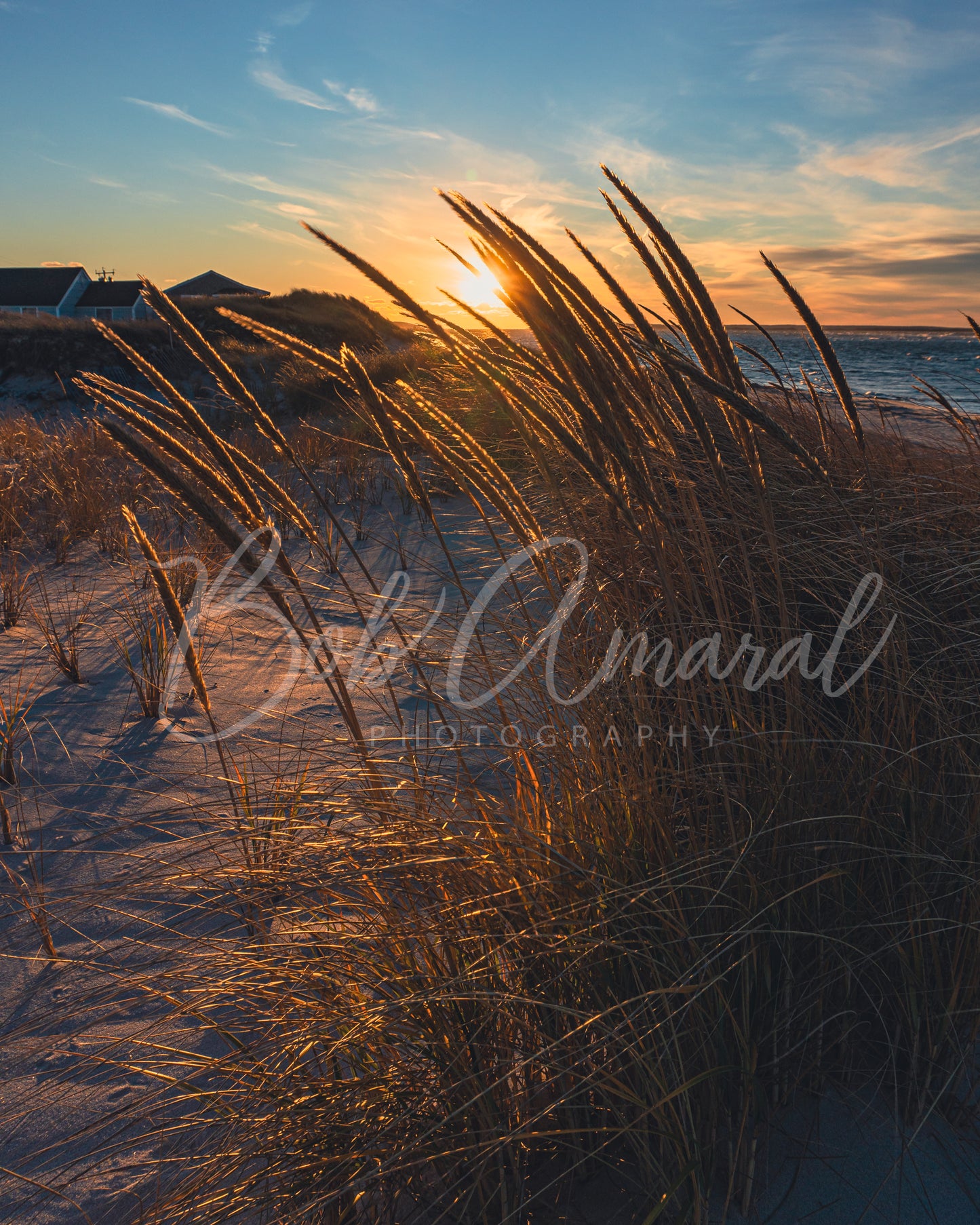 Mayflower Beach - Dennis, Cape Cod