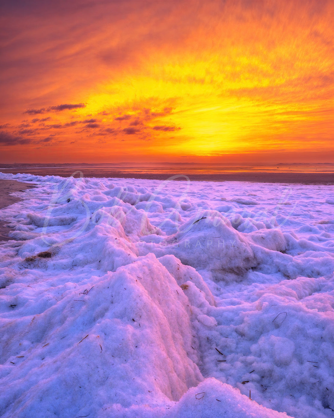 Chapin Beach - Dennis, Cape Cod