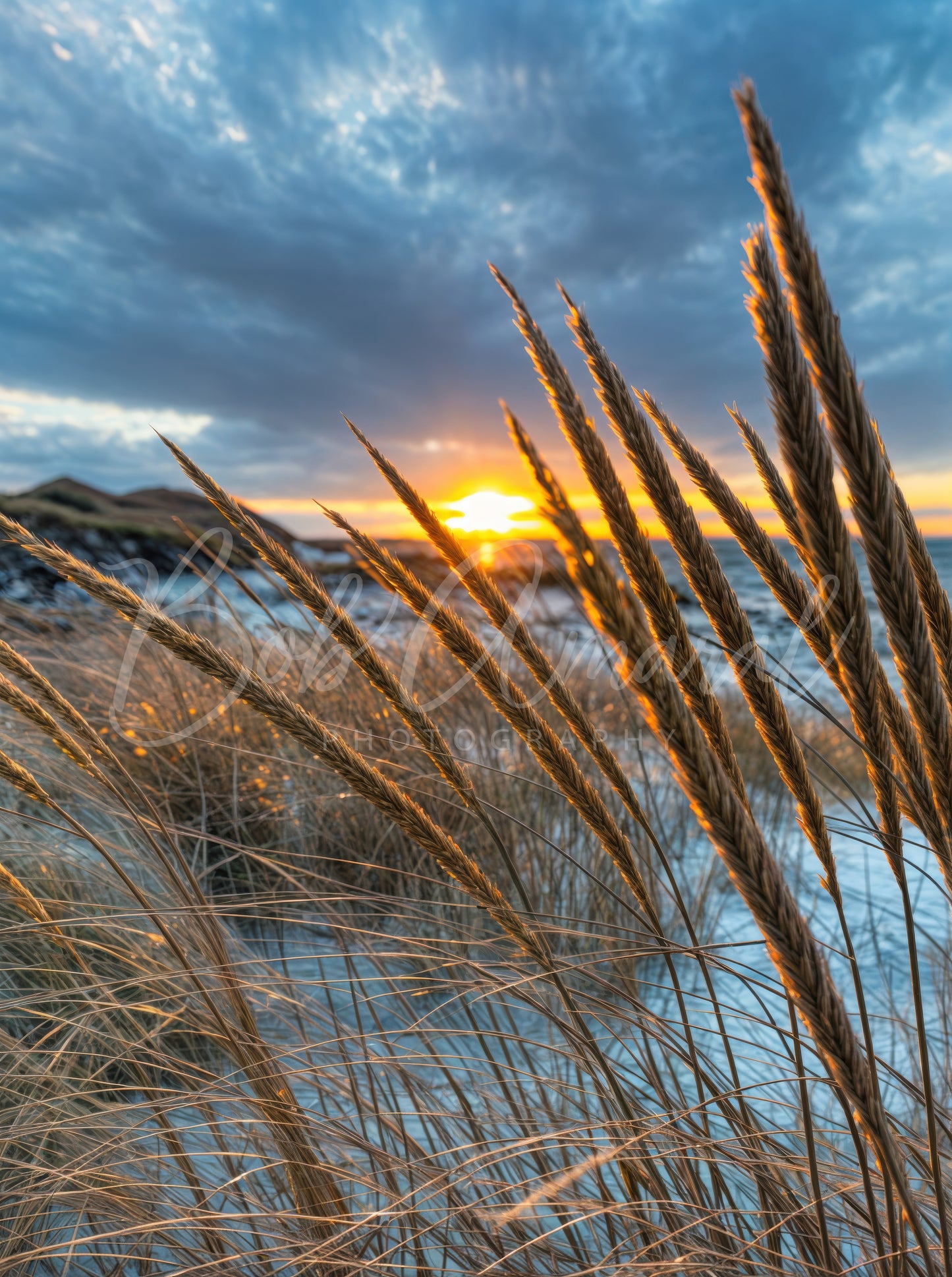 Mayflower Beach - Dennis, Cape Cod