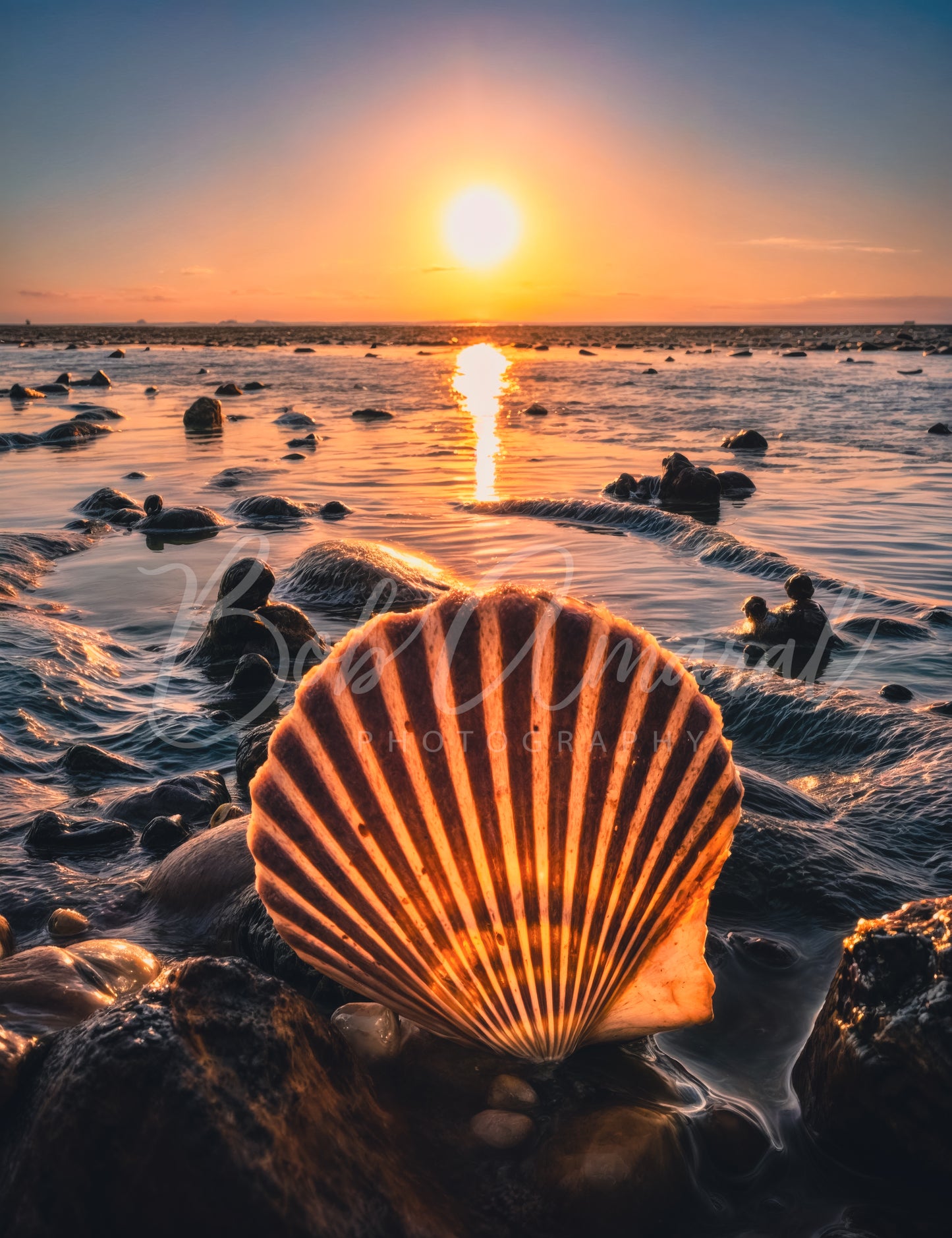 Mayflower Beach - Dennis, Cape Cod