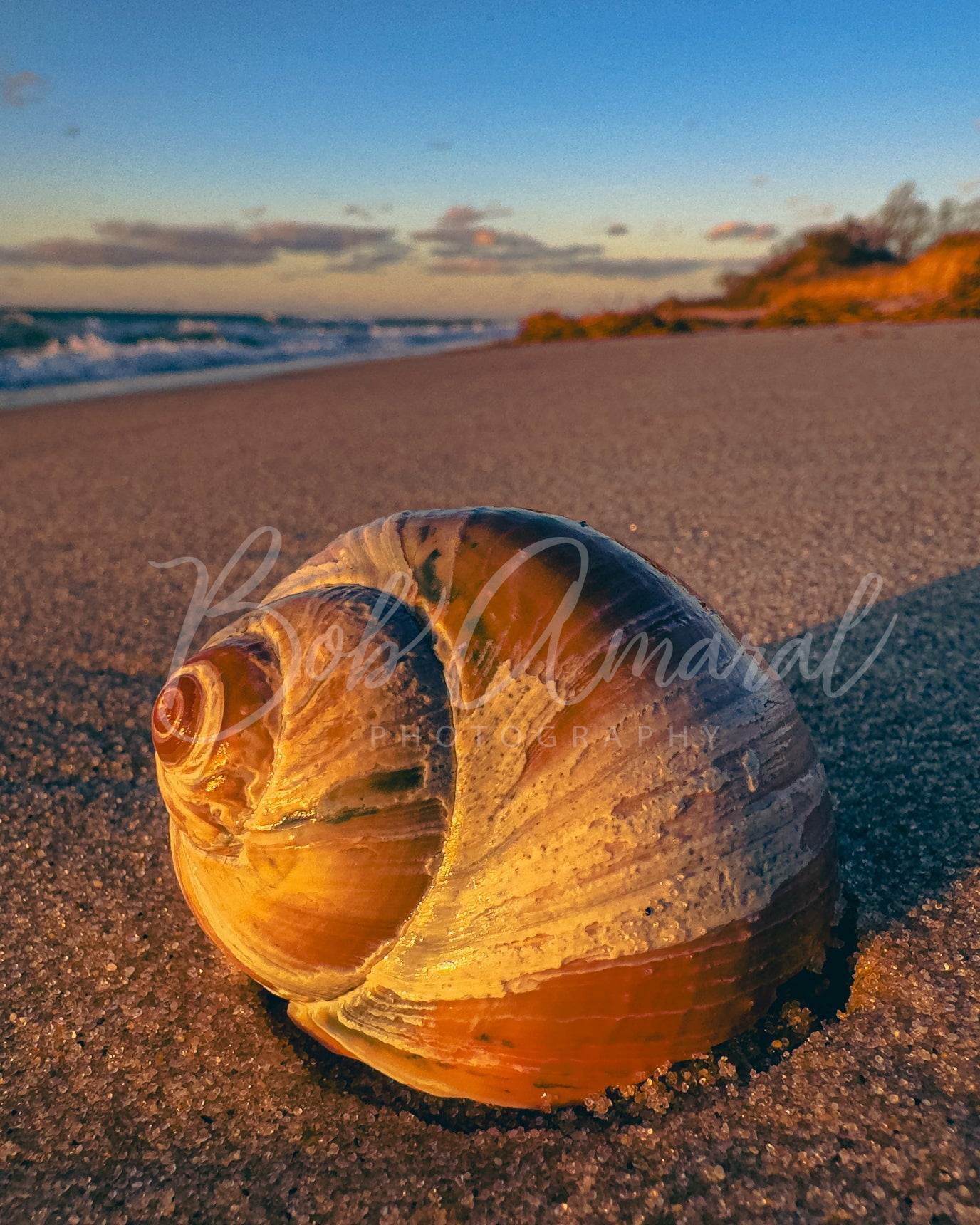 Chapin Beach - Dennis, Cape Cod