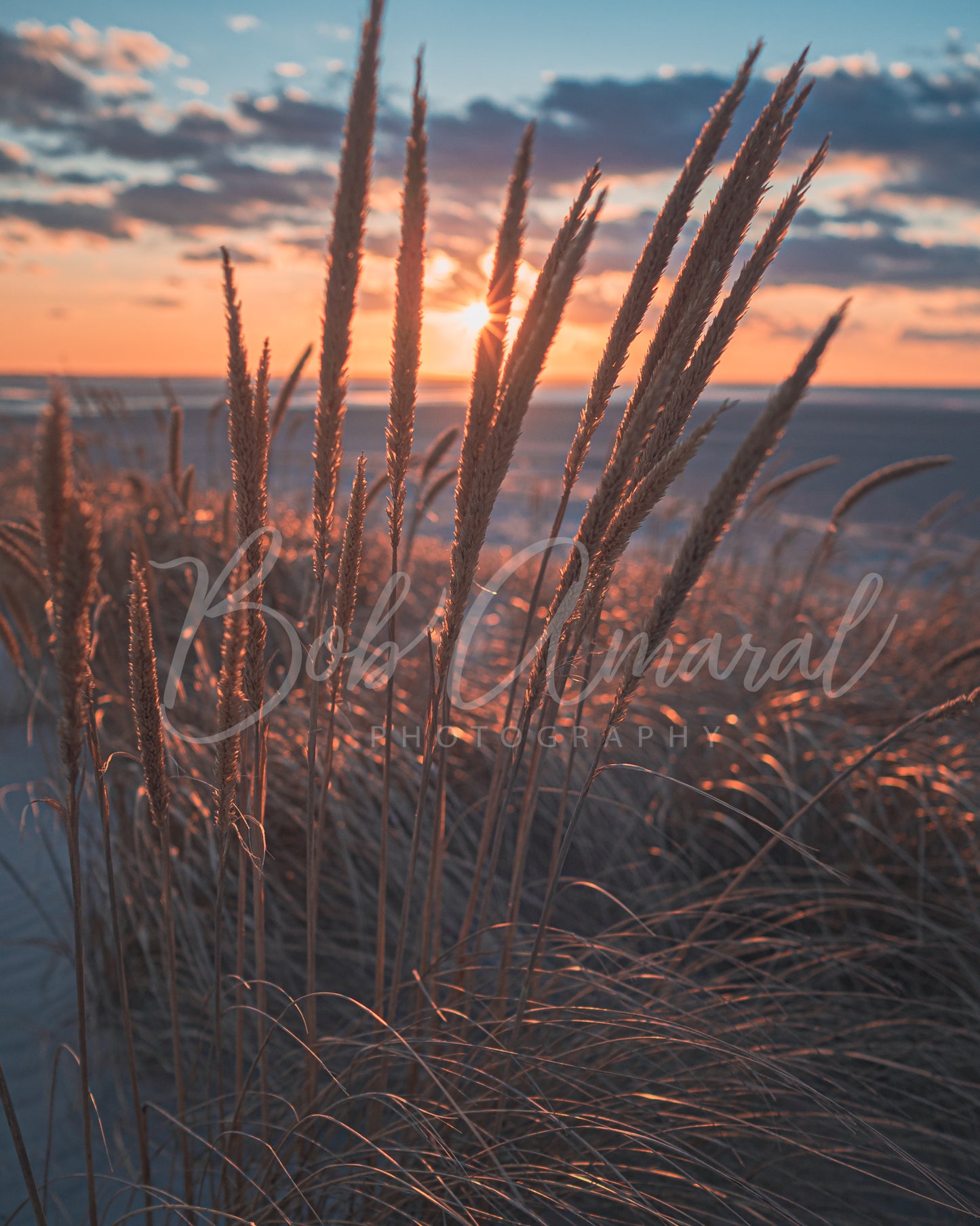 Mayflower Beach - Dennis, Cape Cod