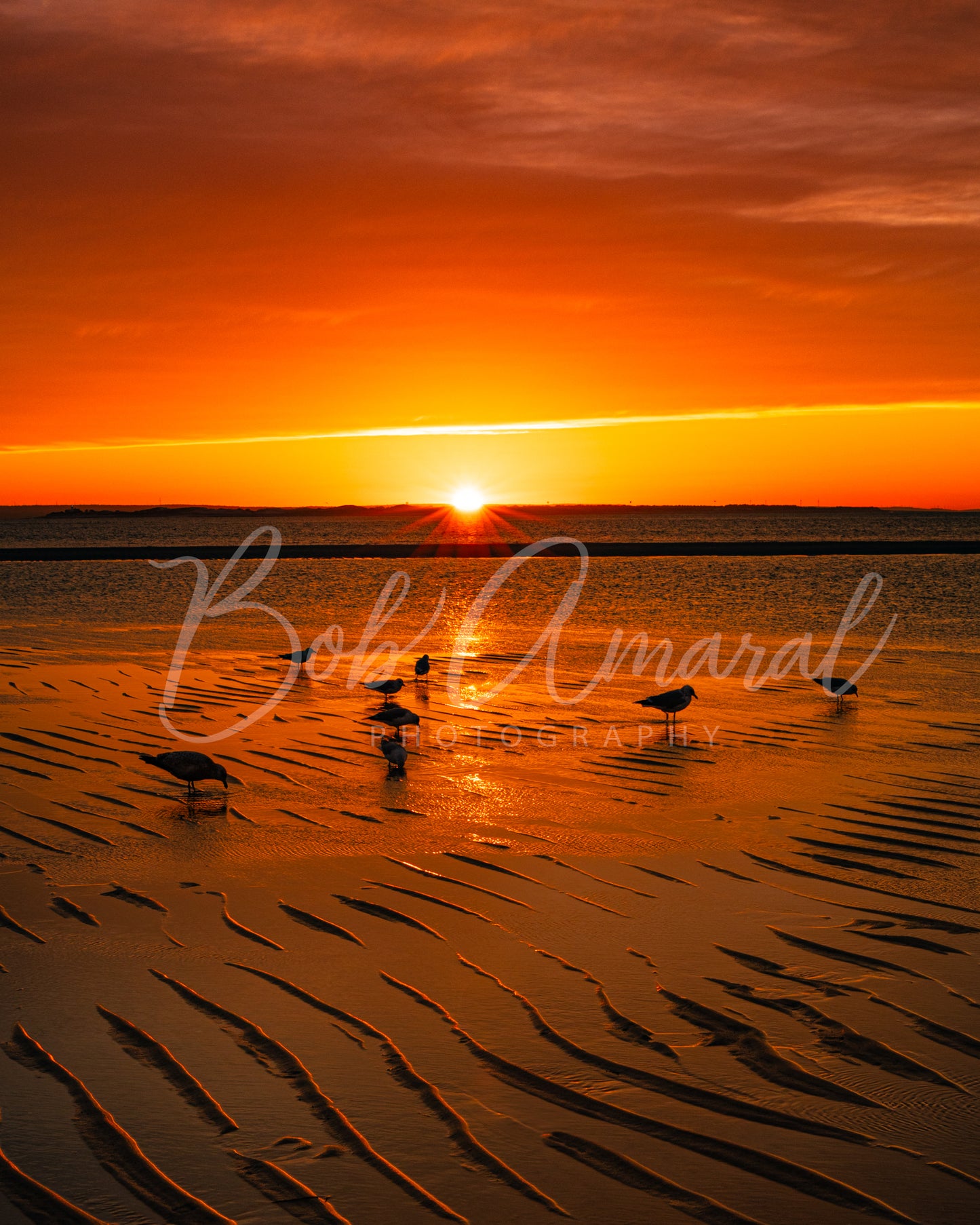Chapin Beach - Dennis, Cape Cod