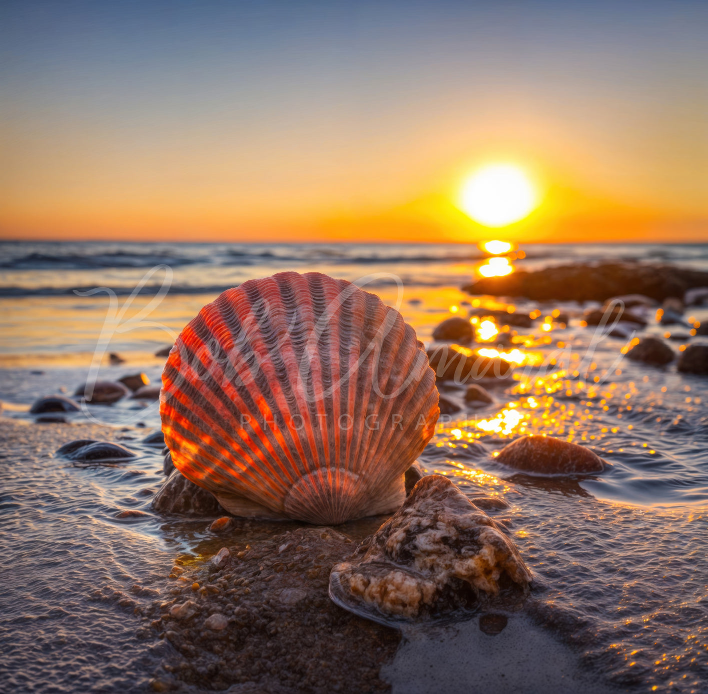 Chapin Beach - Dennis, Cape Cod