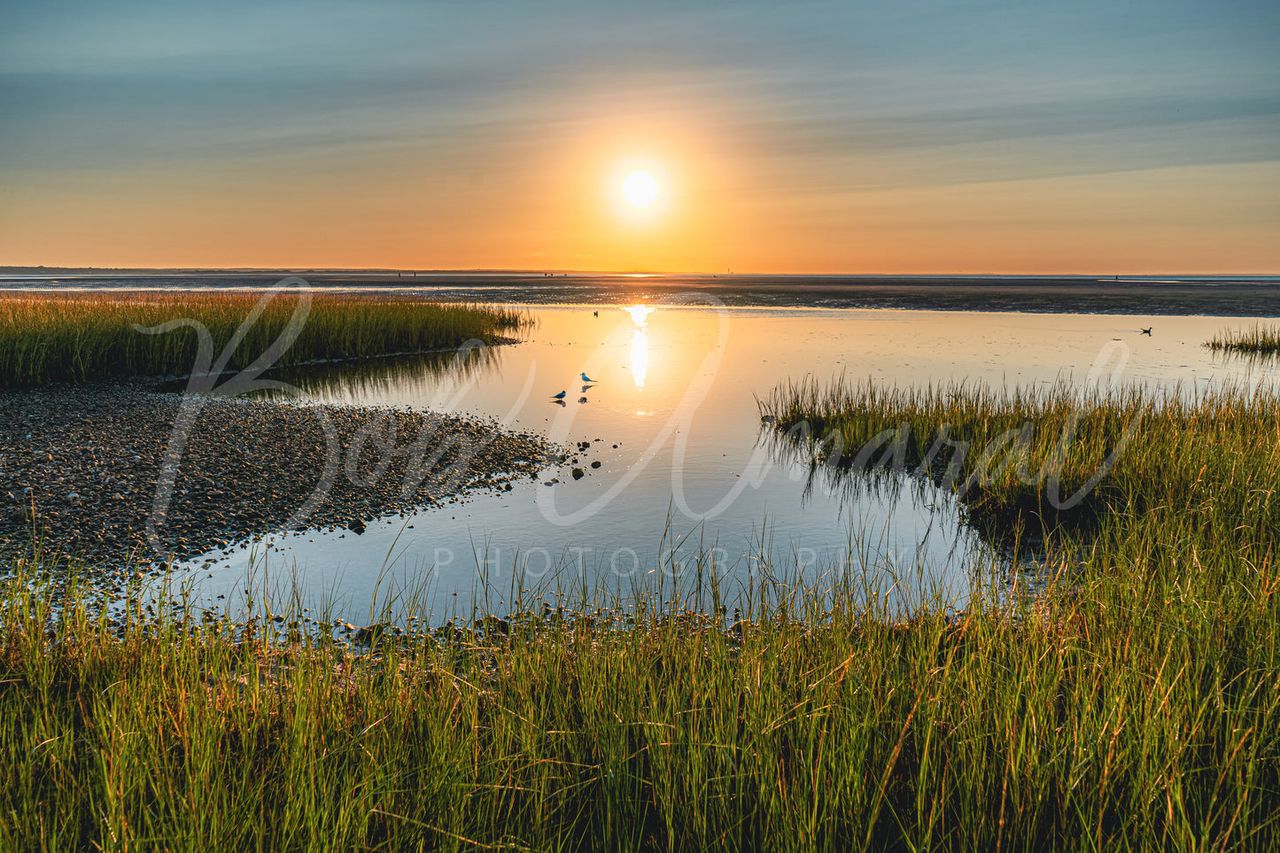 Chapin Beach - Dennis, Cape Cod