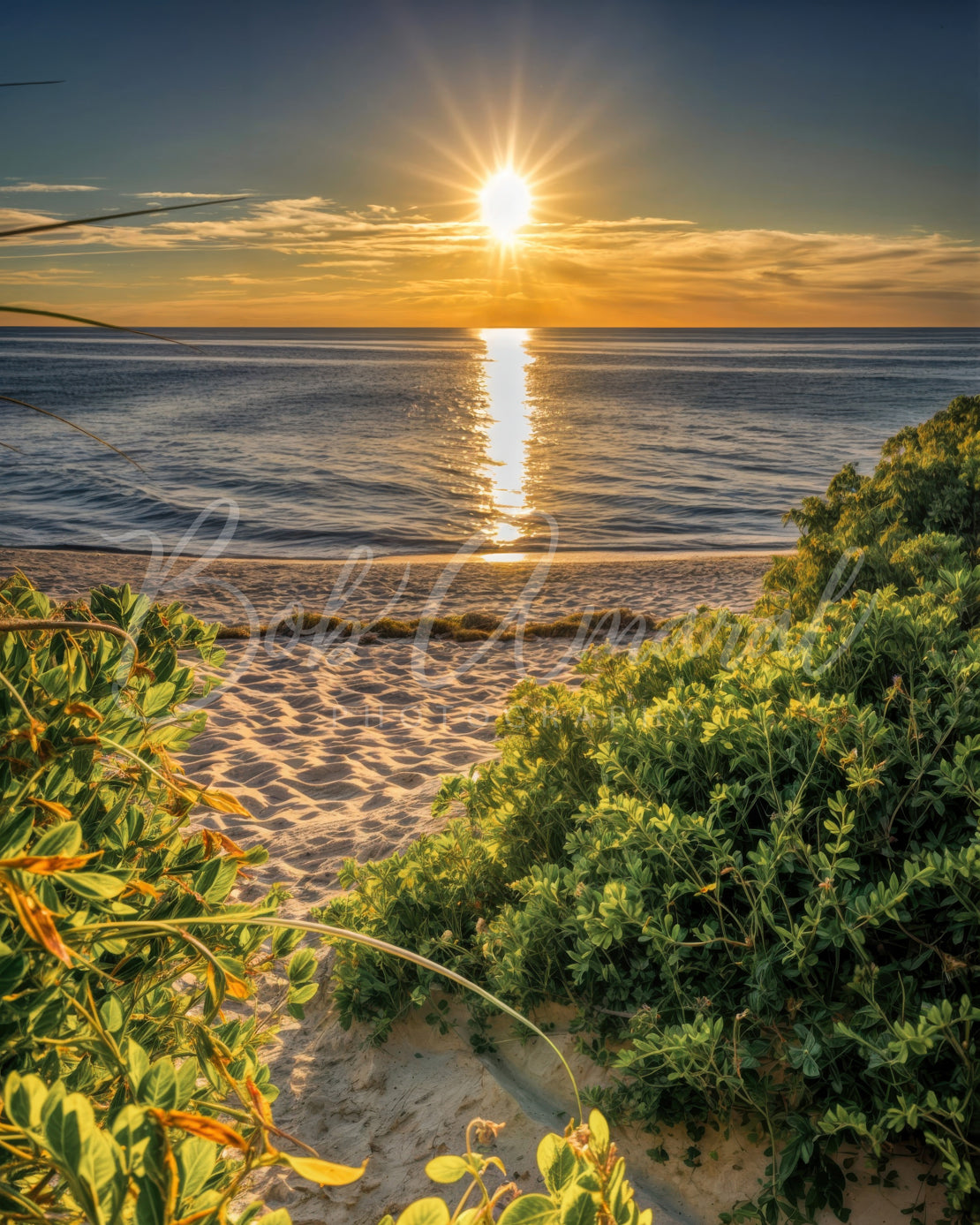 Chapin Beach - Dennis, Cape Cod