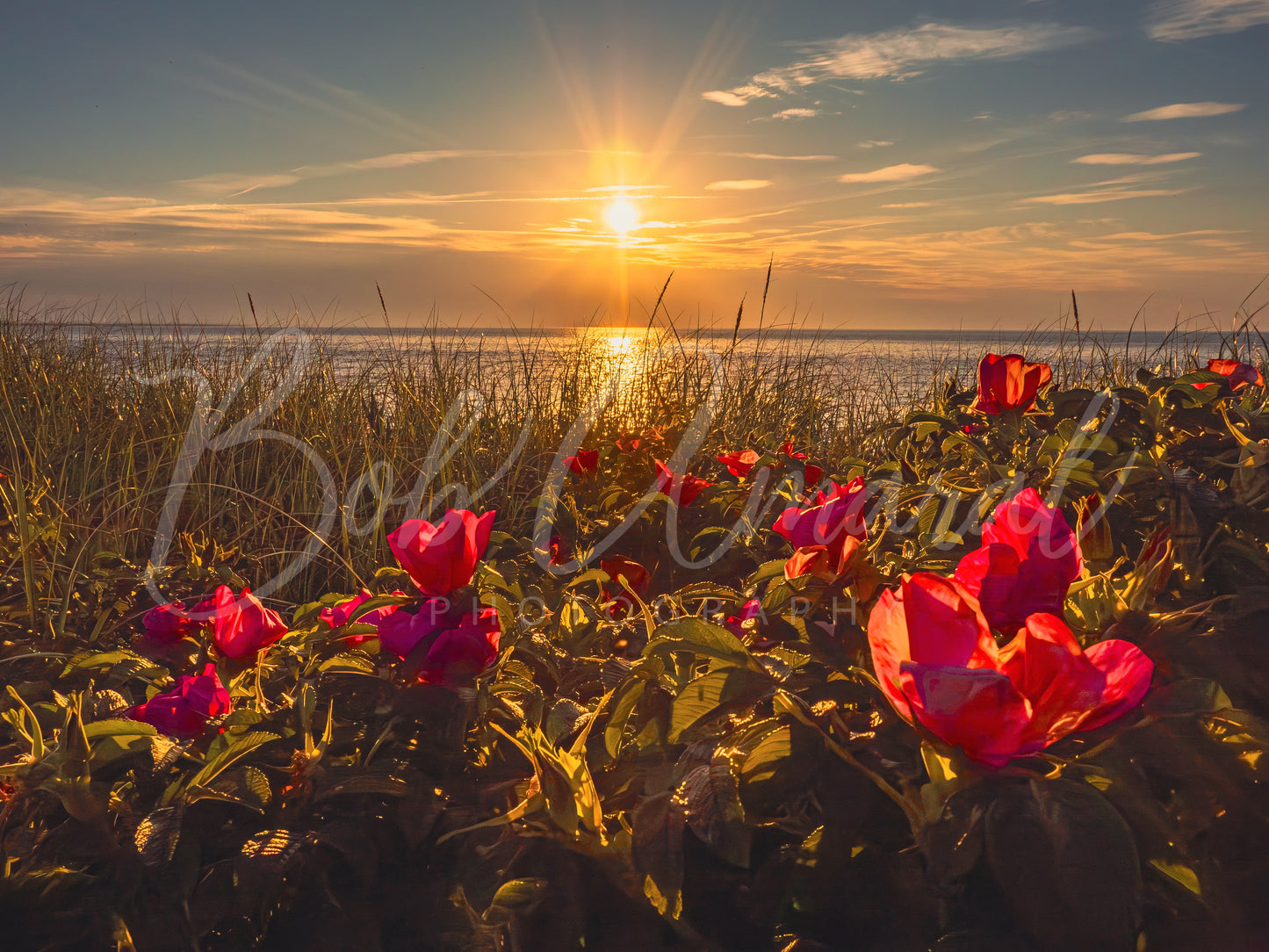 Chapin Beach - Dennis, Cape Cod