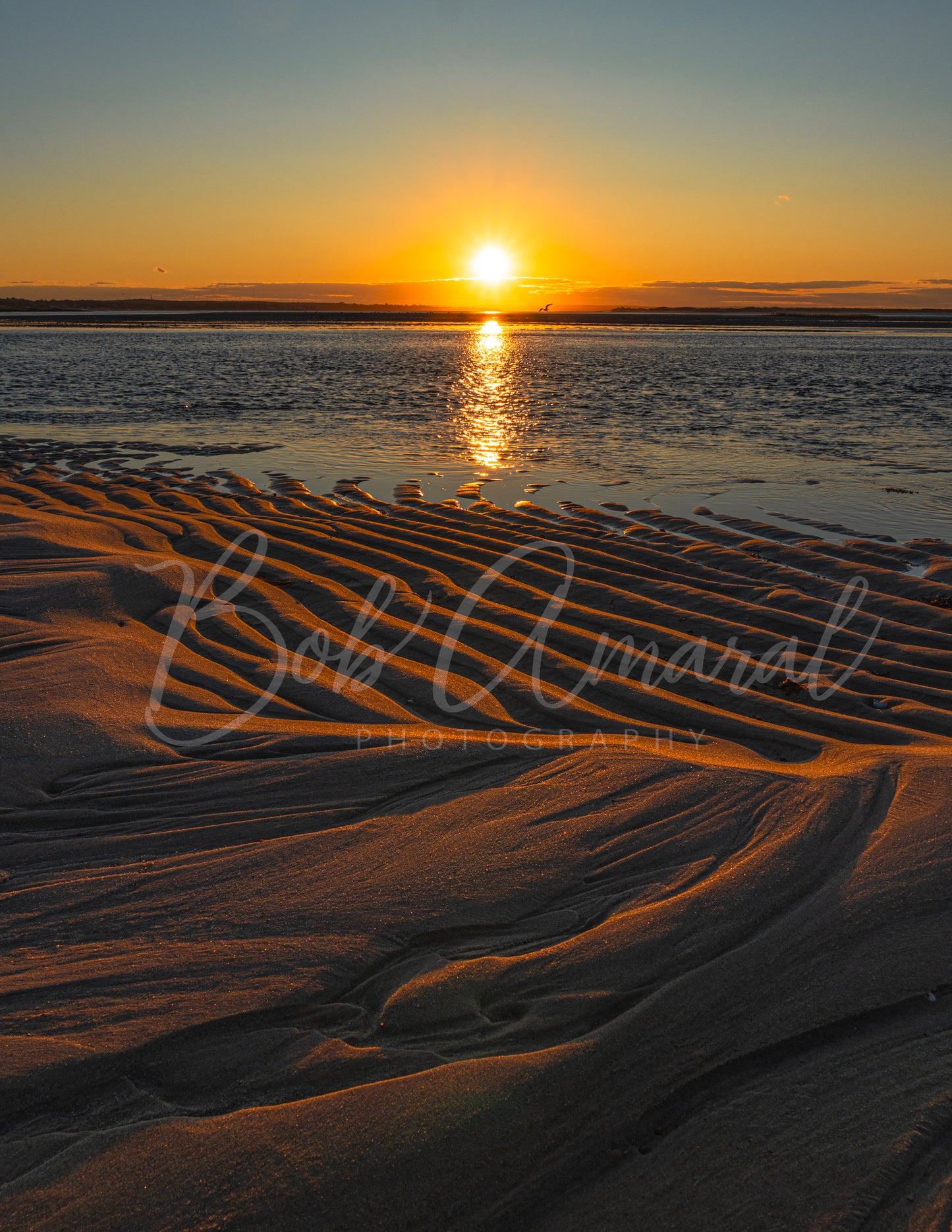 Chapin Beach - Dennis, Cape Cod
