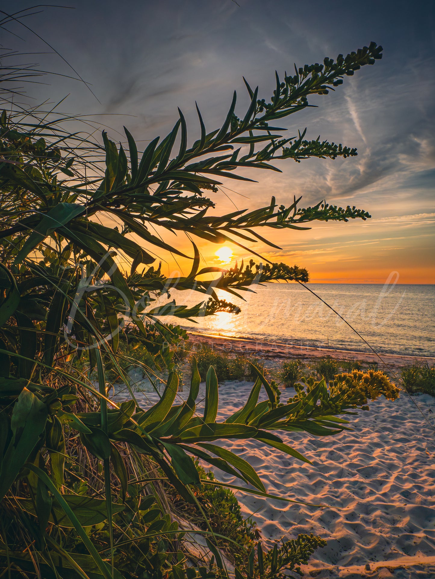Chapin Beach - Dennis, Cape Cod