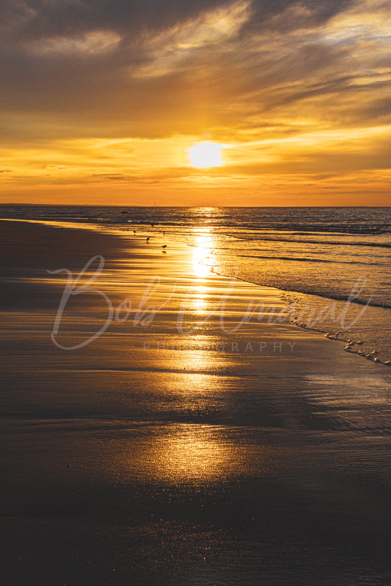 Mayflower Beach - Dennis, Cape Cod