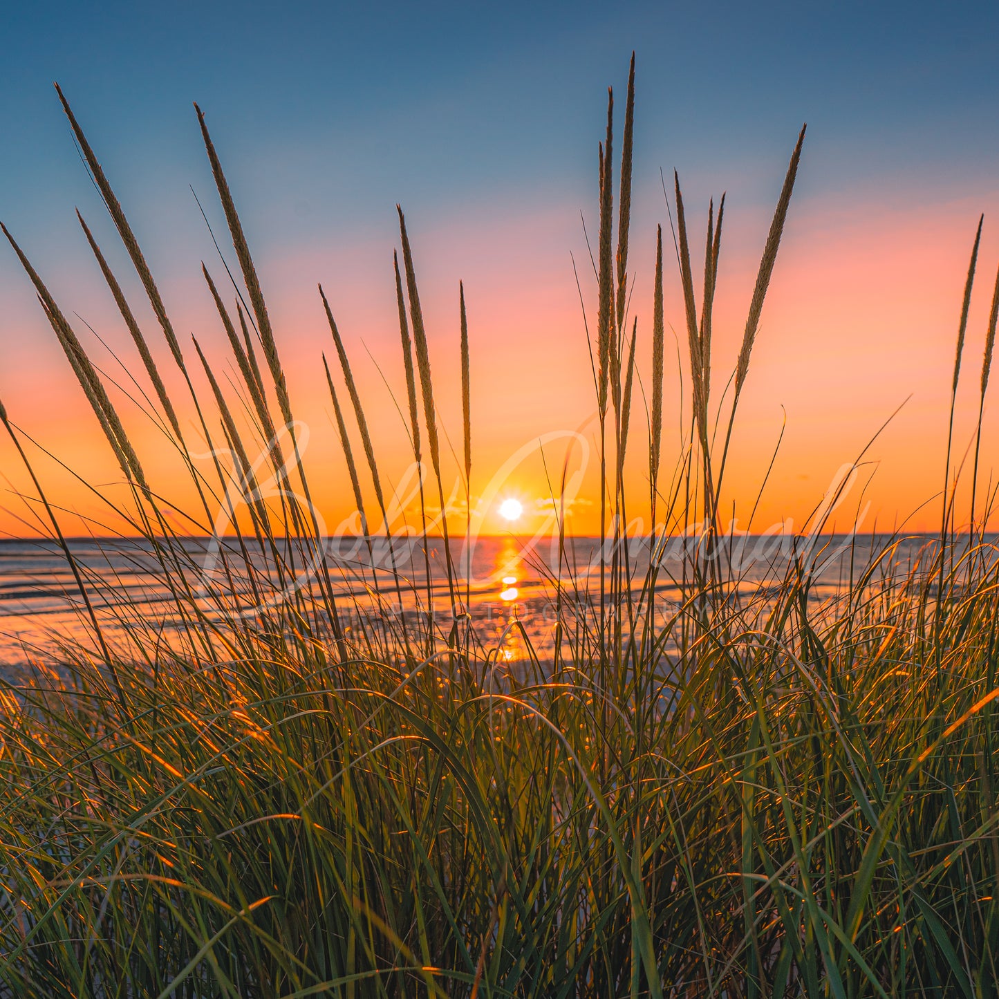 Chapin Beach - Dennis, Cape Cod