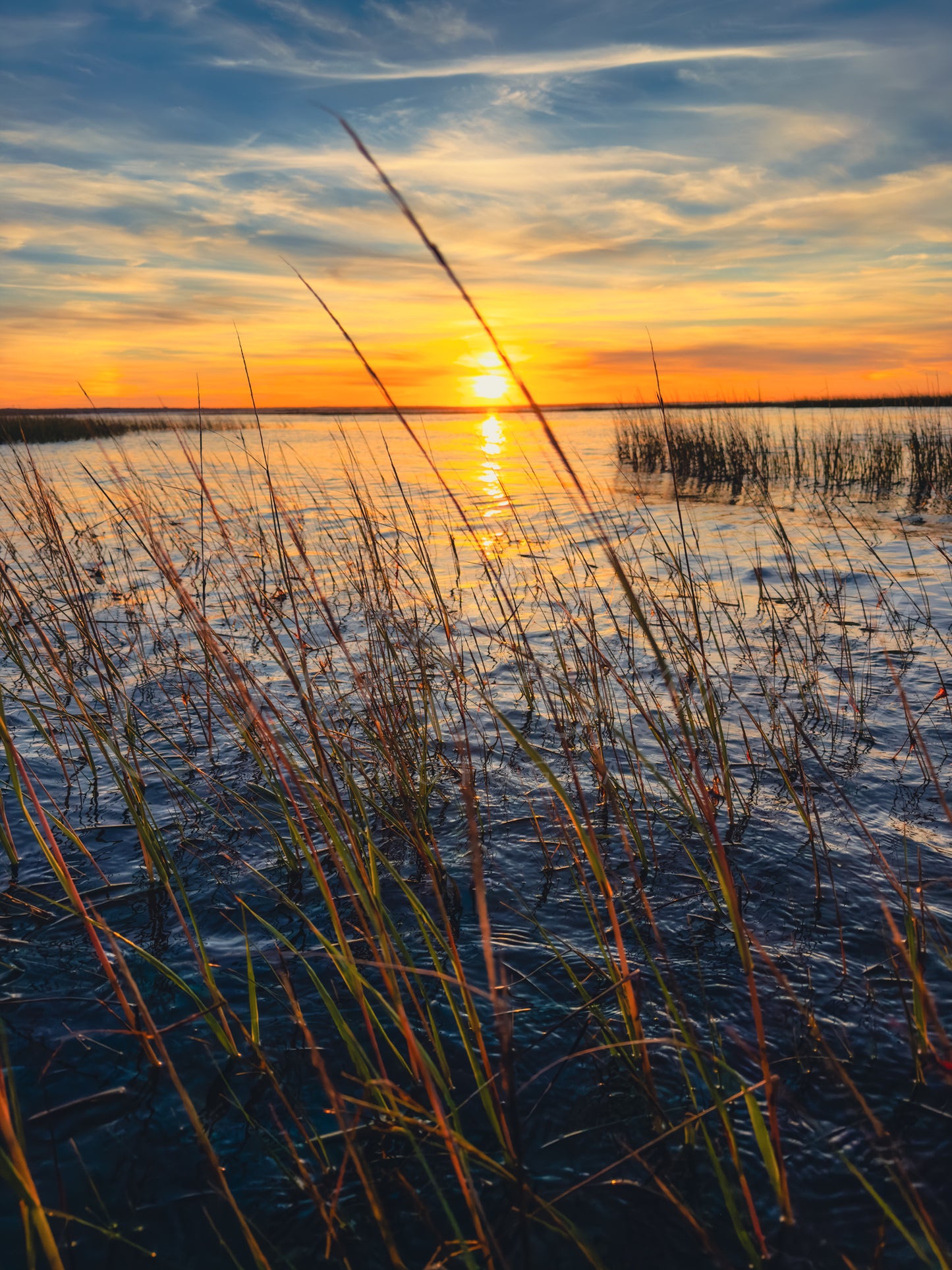 Chapin Beach - Dennis, Cape Cod