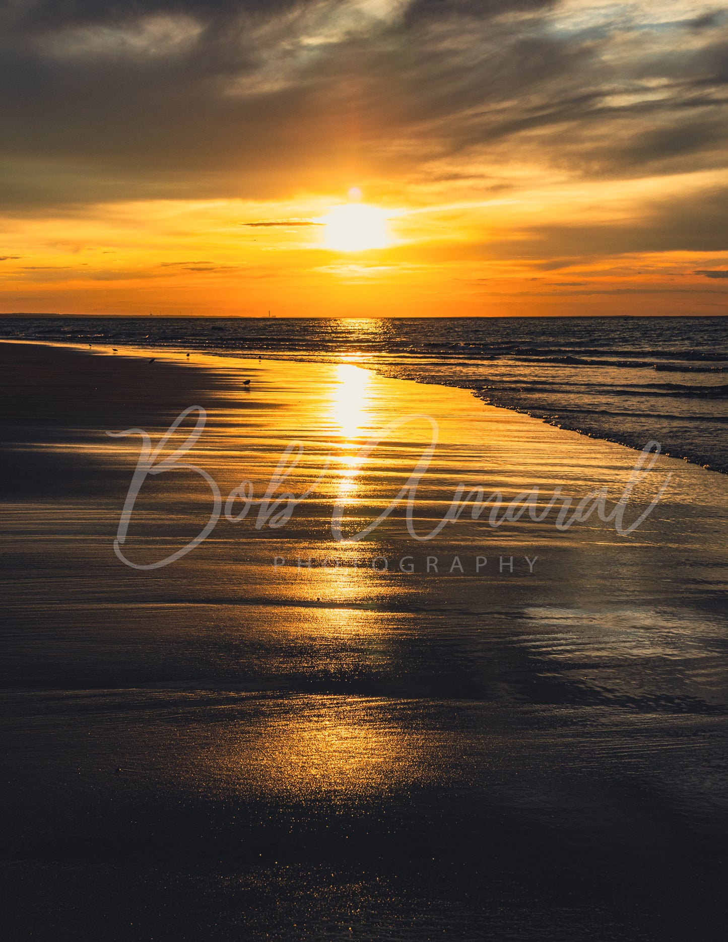 Mayflower Beach - Dennis, Cape Cod