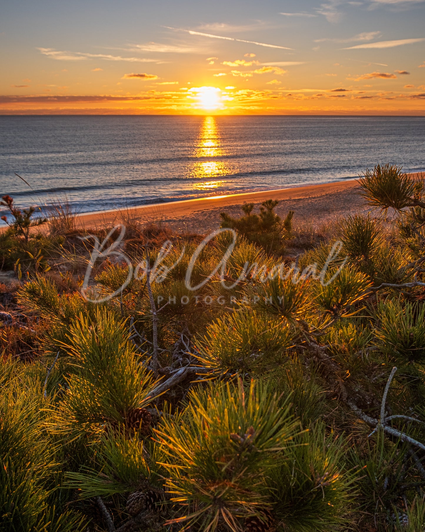 Marconi Beach- Wellfleet, Cape Cod