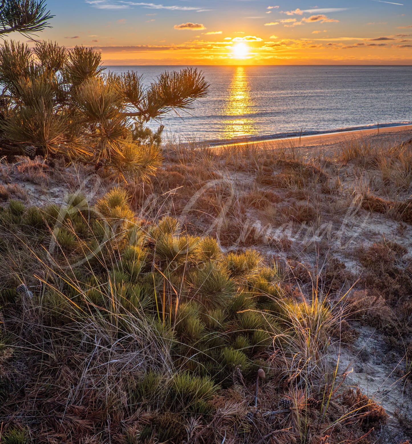 Marconi Beach- Wellfleet, Cape Cod