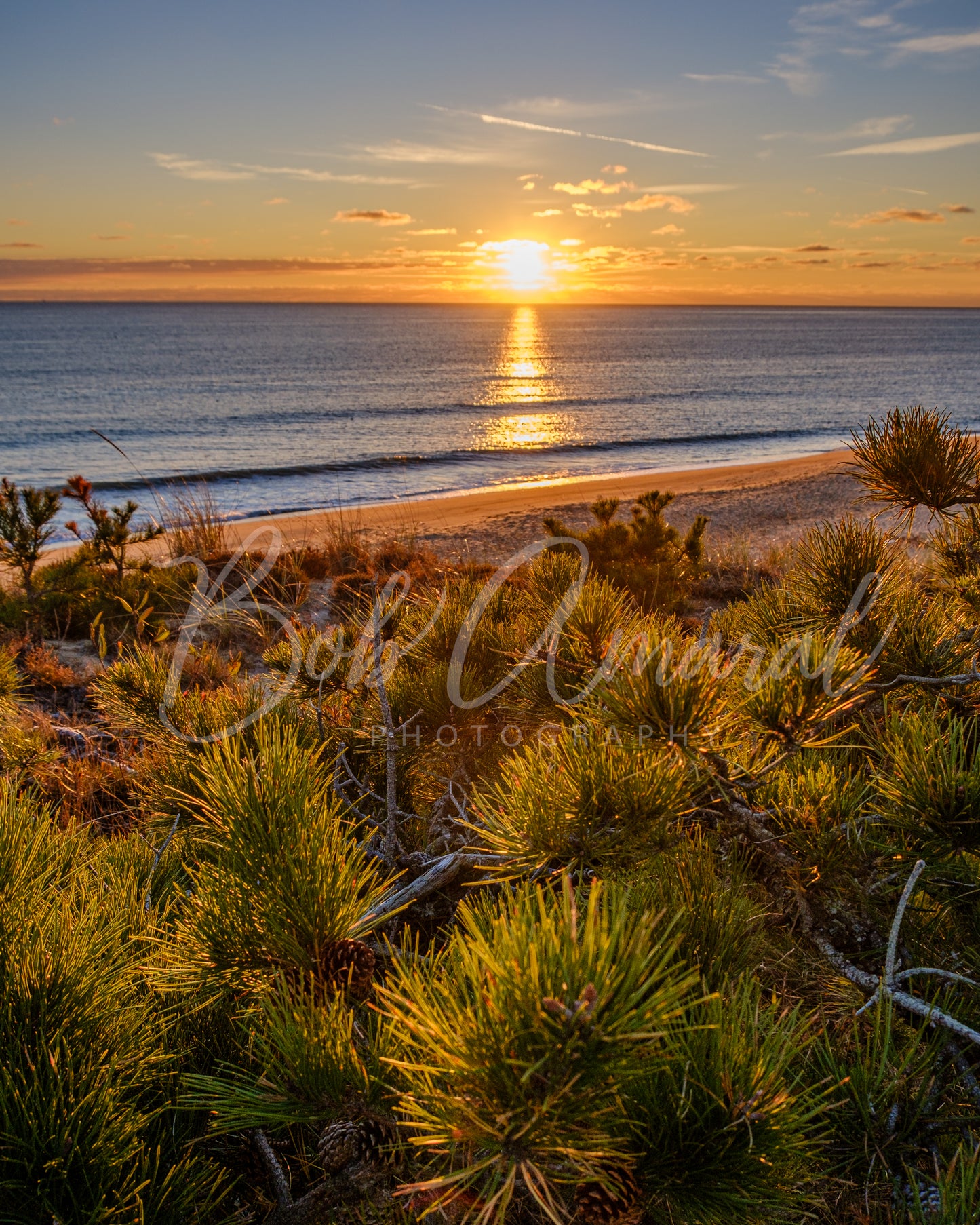Marconi Beach- Wellfleet, Cape Cod