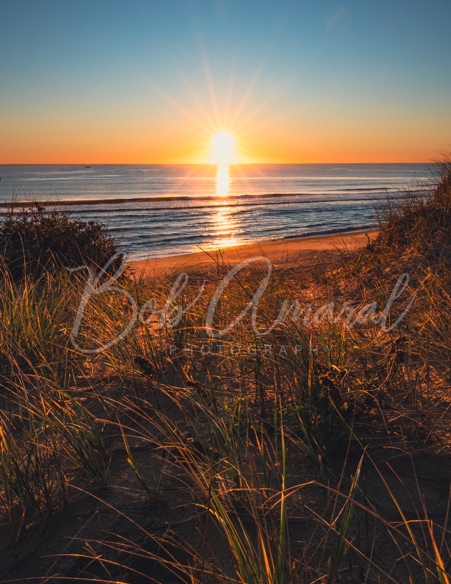Marconi Beach- Wellfleet, Cape Cod