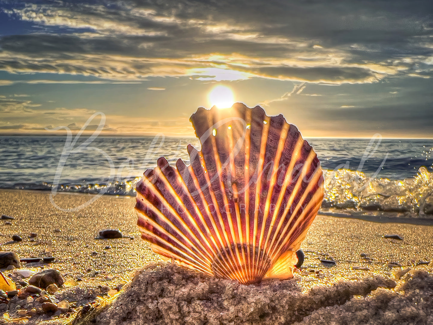 Chapin Beach - Dennis, Cape Cod