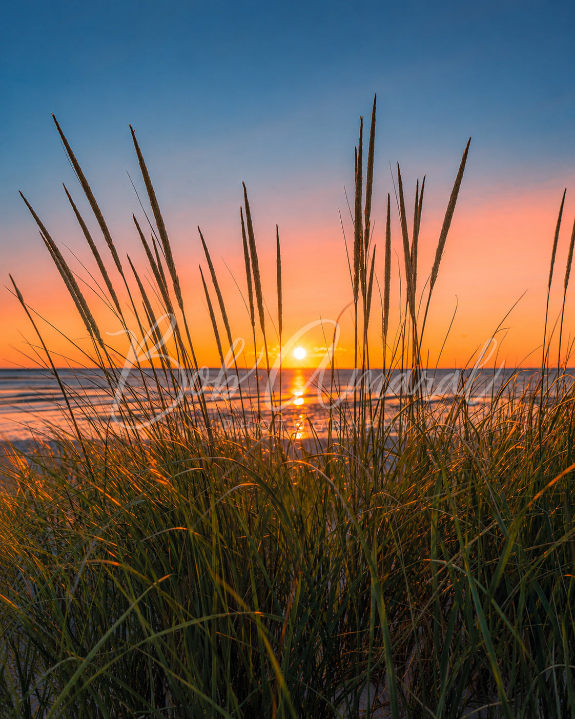 Chapin Beach - Dennis, Cape Cod