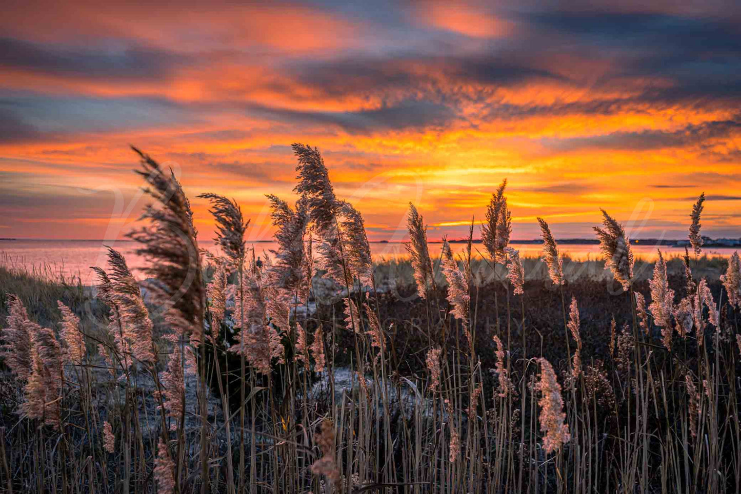 Colonial Acres Beach- Yarmouth, Cape Cod