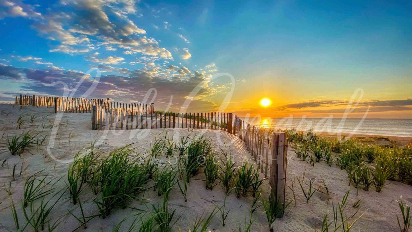 Nauset Beach- Orleans, Cape Cod