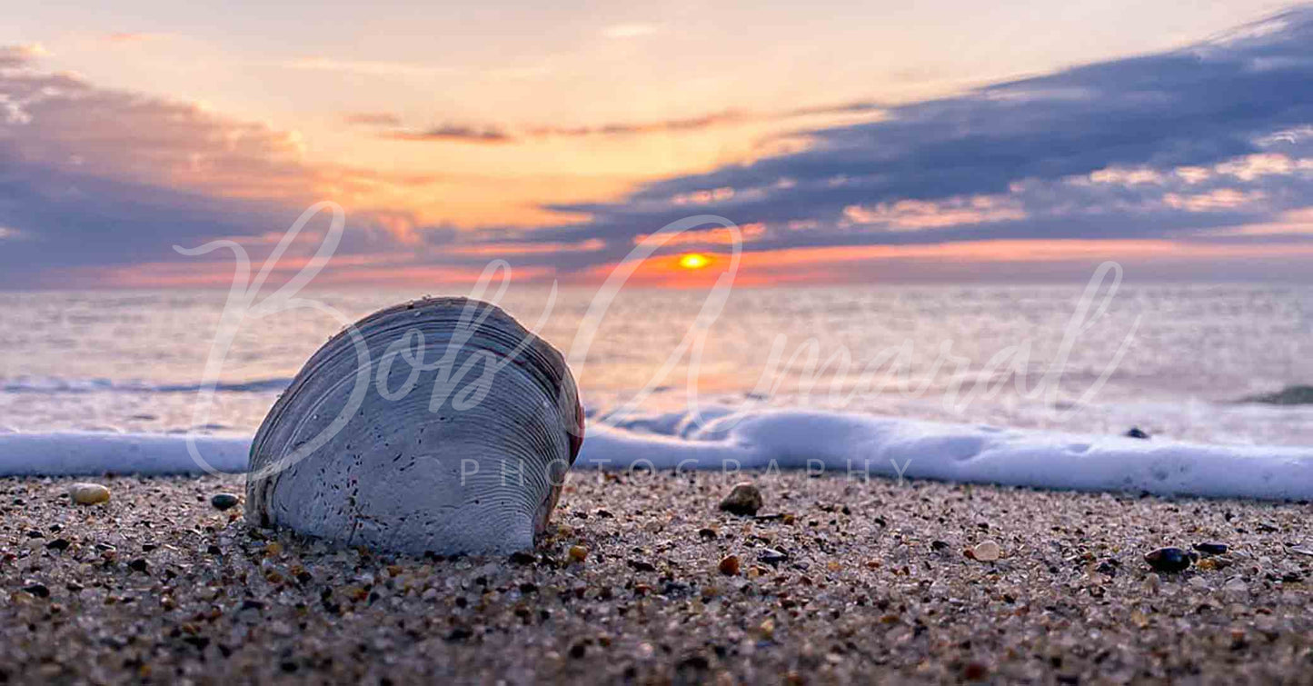 Nauset Beach- Orleans, Cape Cod