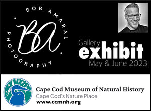 Exhibit at Cape Cod Museum of National History!