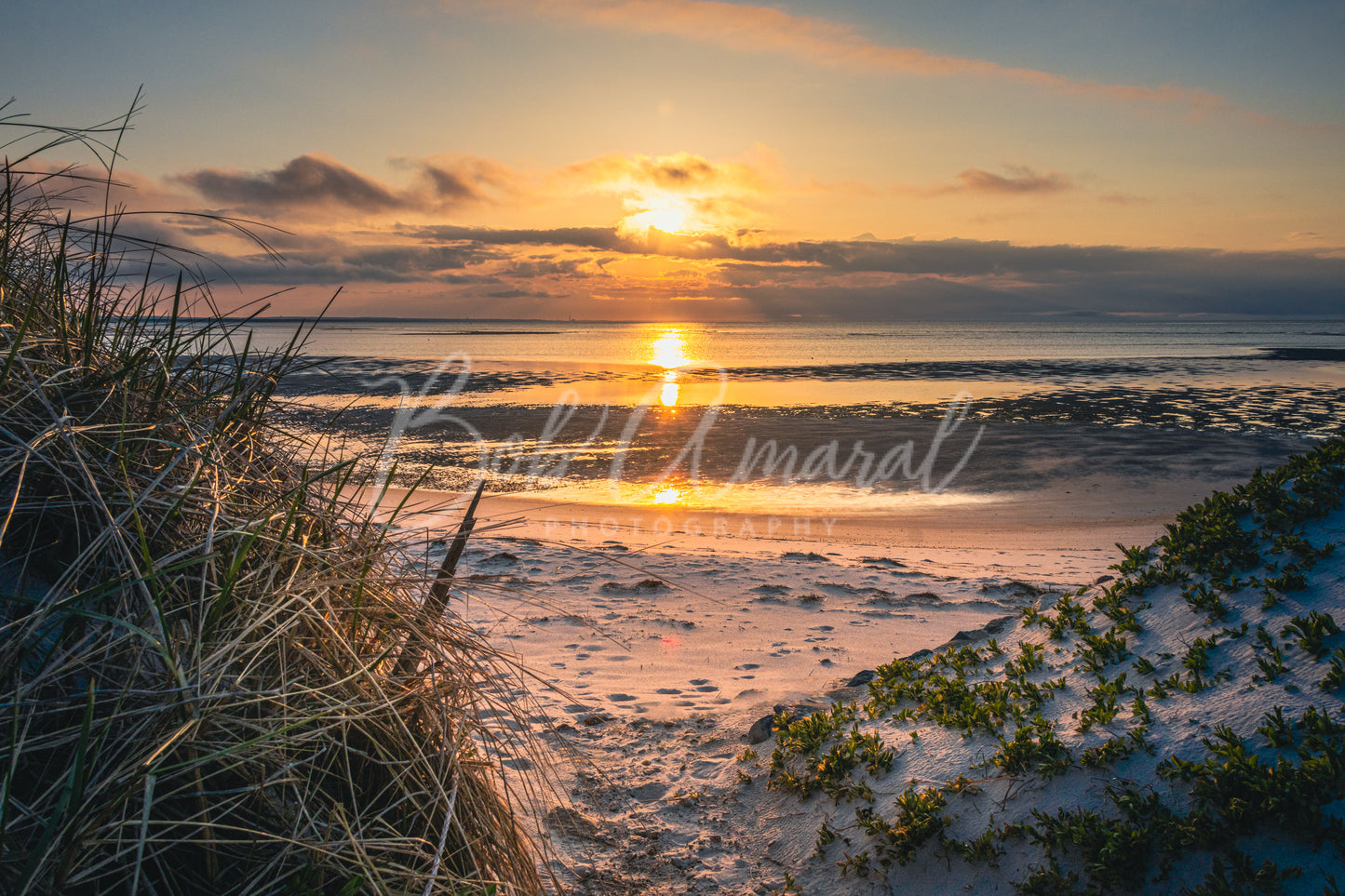 Chapin Beach - Dennis, Cape Cod