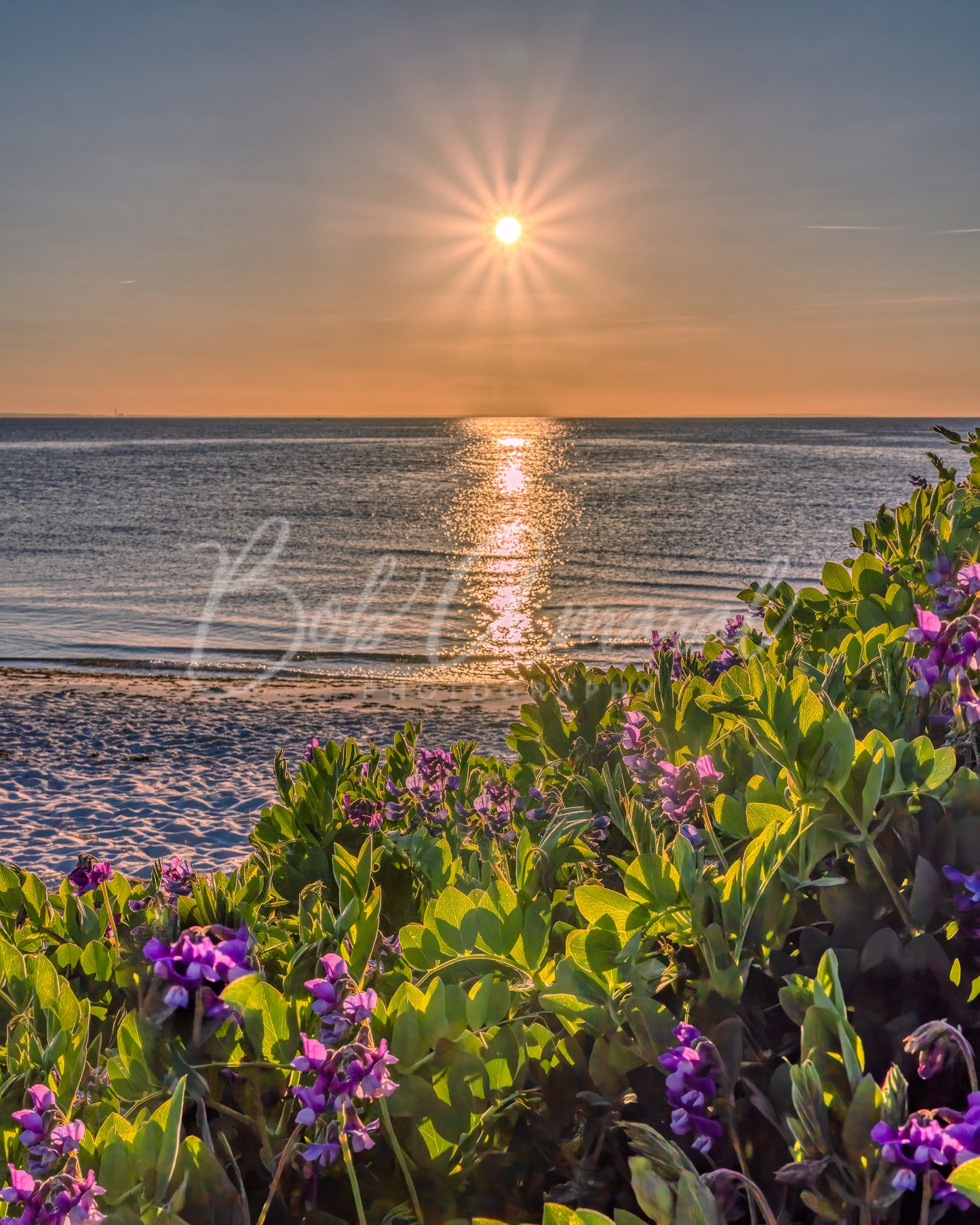 Chapin Beach - Dennis, Cape Cod