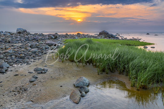 Sea Street Beach - East Dennis, Cape Cod