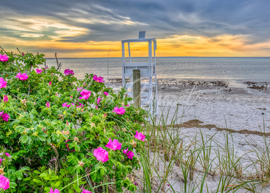 Chapin Beach - Dennis, Cape Cod