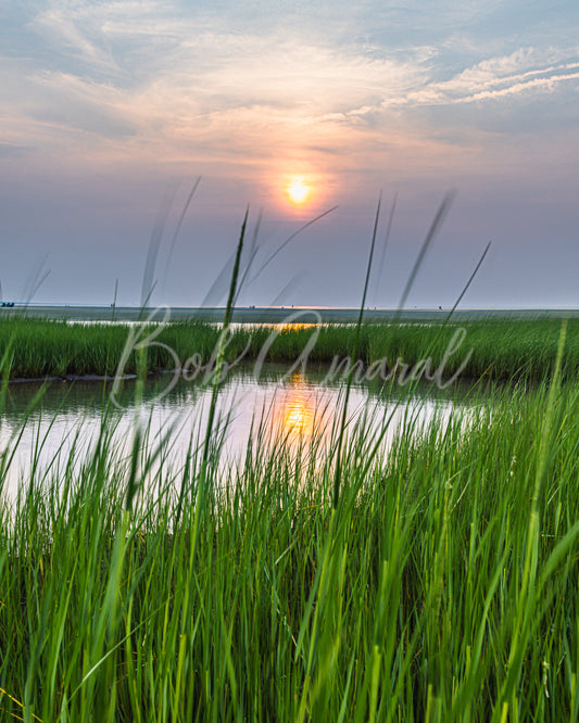 Chapin Beach - Dennis, Cape Cod