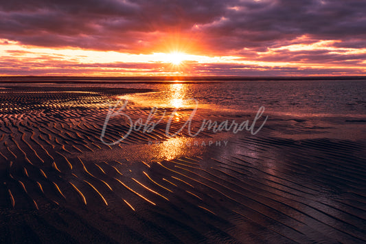 Cold Storage Beach - Dennis, Cape Cod