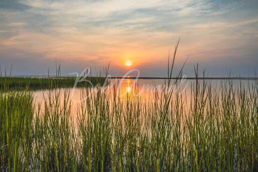 Chapin Beach - Dennis, Cape Cod