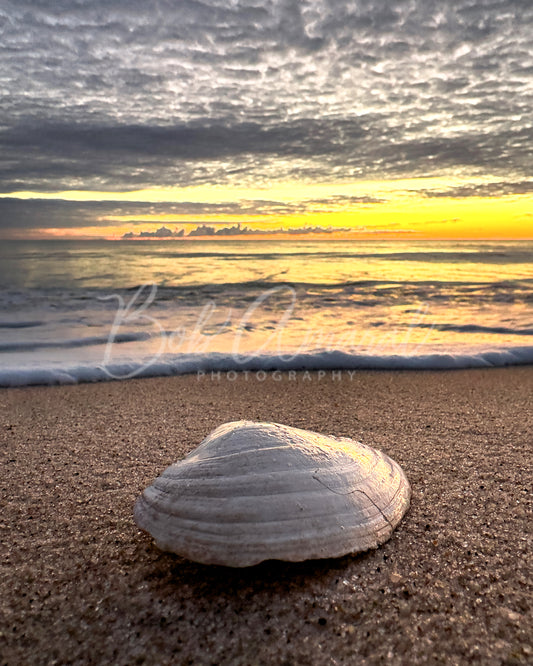 Nauset Beach - Orleans, Cape Cod