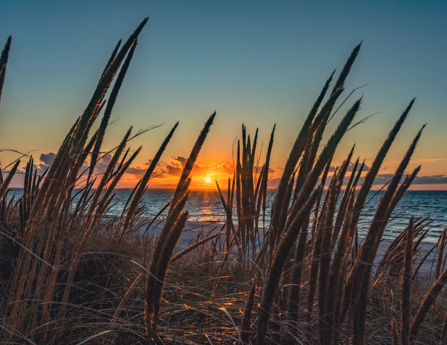 Mayflower Beach - Dennis, Cape Cod