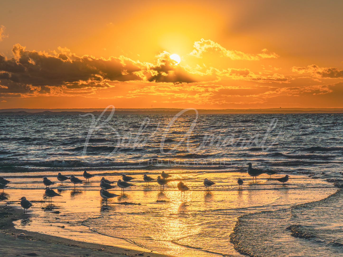 Mayflower Beach - Dennis, Cape Cod