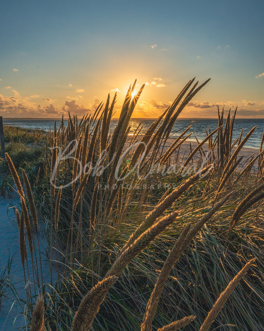 Mayflower Beach - Dennis, Cape Cod