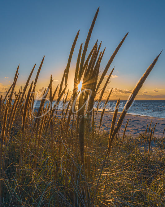 Mayflower Beach - Dennis, Cape Cod