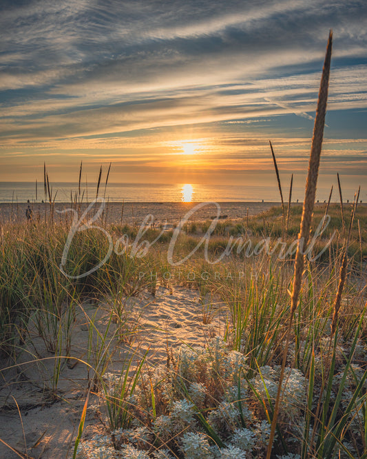 Nauset Beach - Orleans, Cape Cod