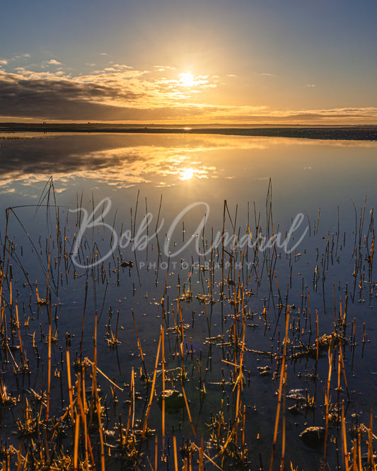 Chapin Beach - Dennis, Cape Cod