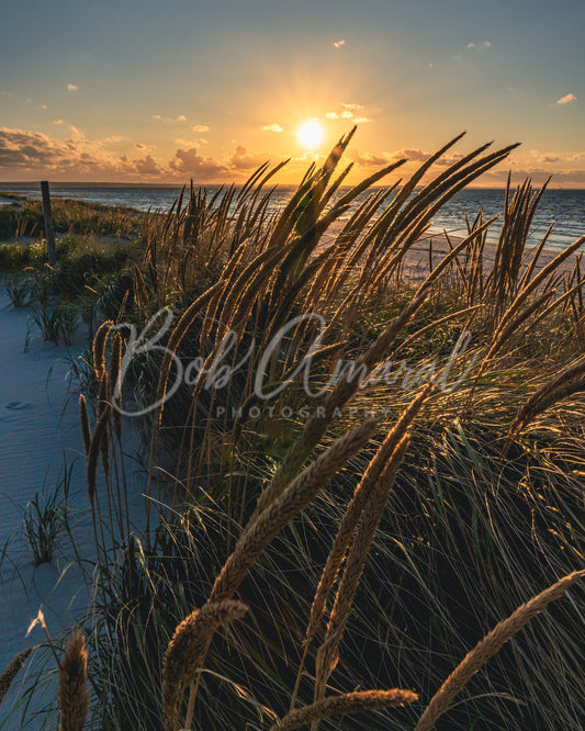 Mayflower Beach - Dennis, Cape Cod