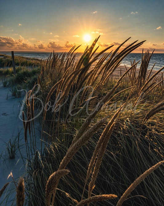 Mayflower Beach - Dennis, Cape Cod