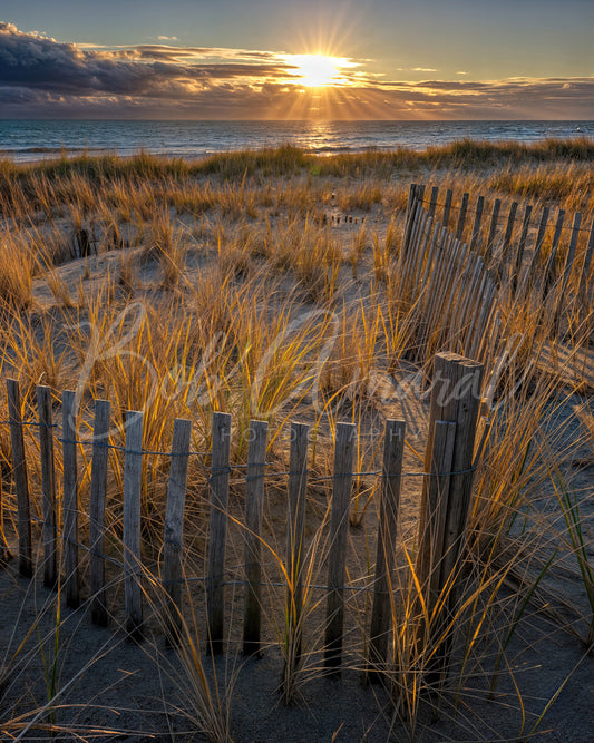 Nauset Beach - Orleans, Cape Cod