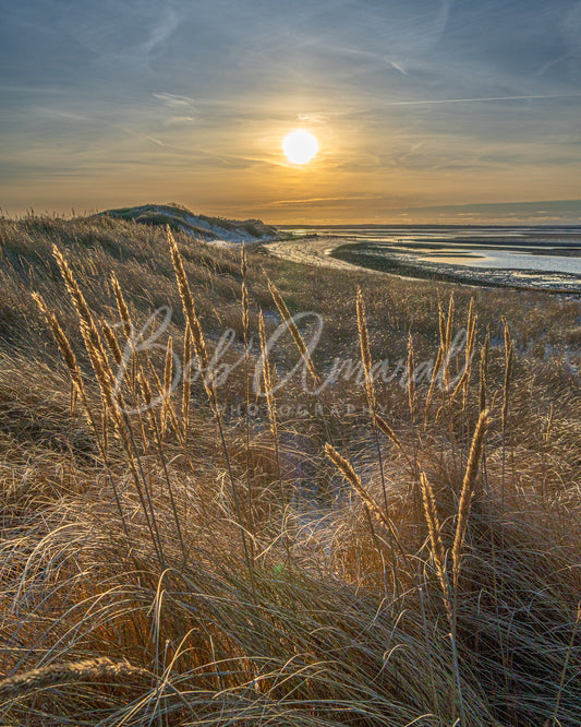 Chapin Beach - Dennis, Cape Cod